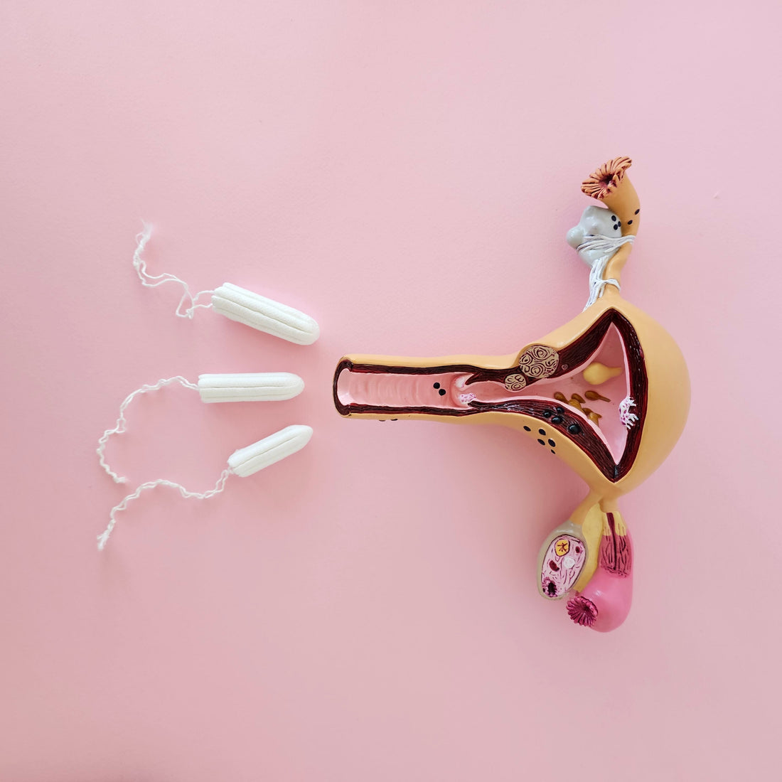 Metals in Tampons: What the Berkeley and FDA Studies Found