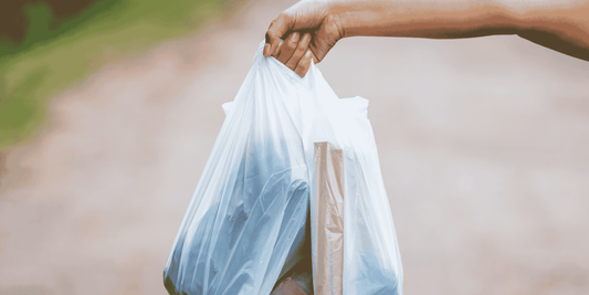 Plastic Chemicals in Our Bodies: Surprising Changes in Just 7 Days