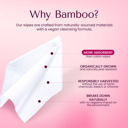 Unscented organic bamboo wet wipes bundle