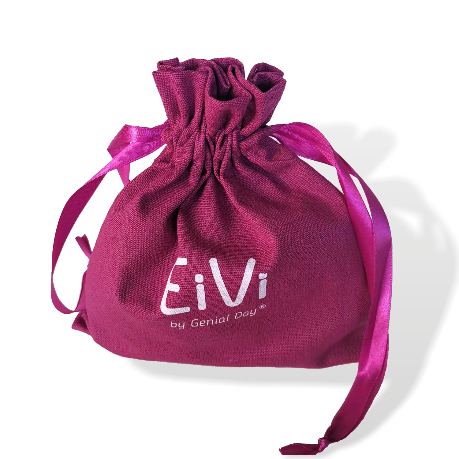 Underwear bags 2025 for travelling